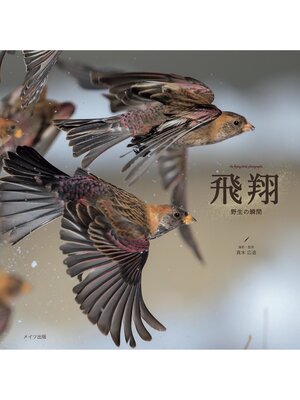 cover image of 飛翔　野生の瞬間